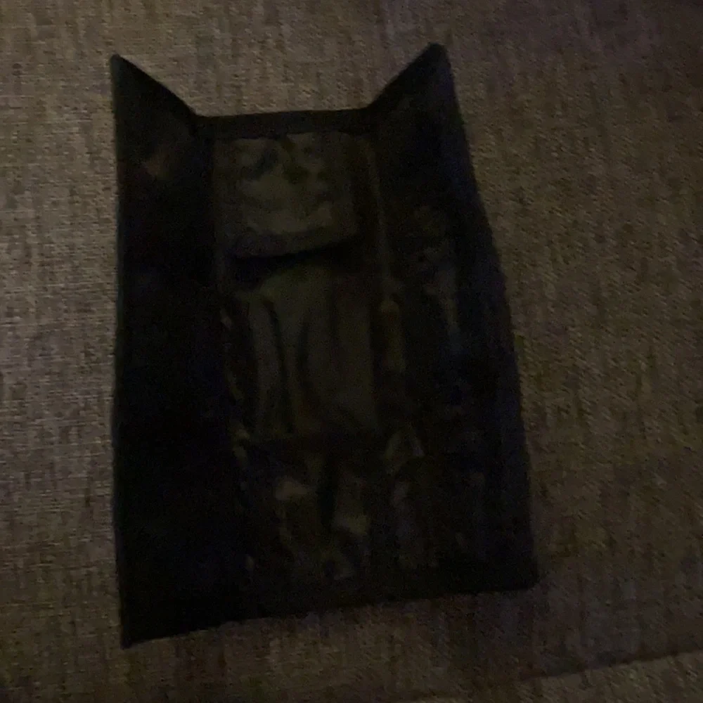 Dart case